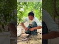 Mending the Lifeline: Why Every Drop Counts in Desert Orchards