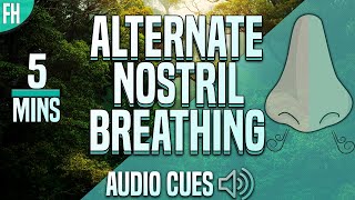 Guided Alternate Nostril Breathing Meditation (Nadi Shodhana) | 5 Minutes