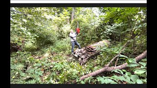 Did someone say chainsaw?...