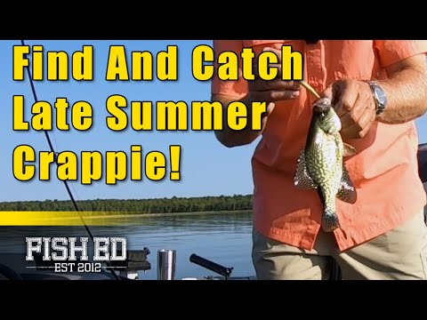 DEADLY Topwater Popper Presentation for Summer Bass Fishing– Fish Ed 