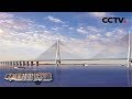 《中国建设者》天堑变通途 沪通长江大桥背后的故事 20171005 | CCTV科教