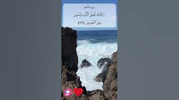 وكذلك نفصل الآيات ولتستبين سبيل المجرمين | سورة الأنعام #دعاء_ورسالة