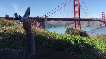 The Bionic Bird Drone Cool Biometric Drone