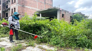 help ! mowing cut the overgrown grass in the abandoned house for 30 years | clean up Quick mowing
