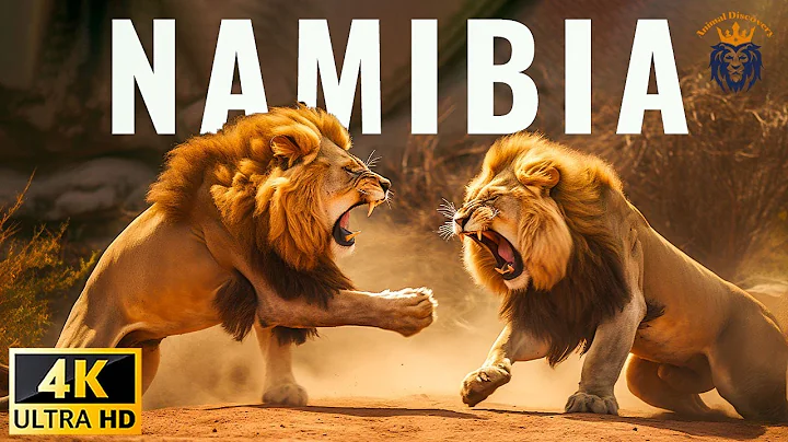 WILD NAMIBIA | Battle for Survival in Predator Territory | Animal Documentary