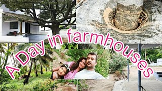 A Day in farmhouse /Pollachi farmhouse one day trip/