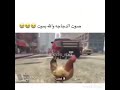 صوت الدجاجه 