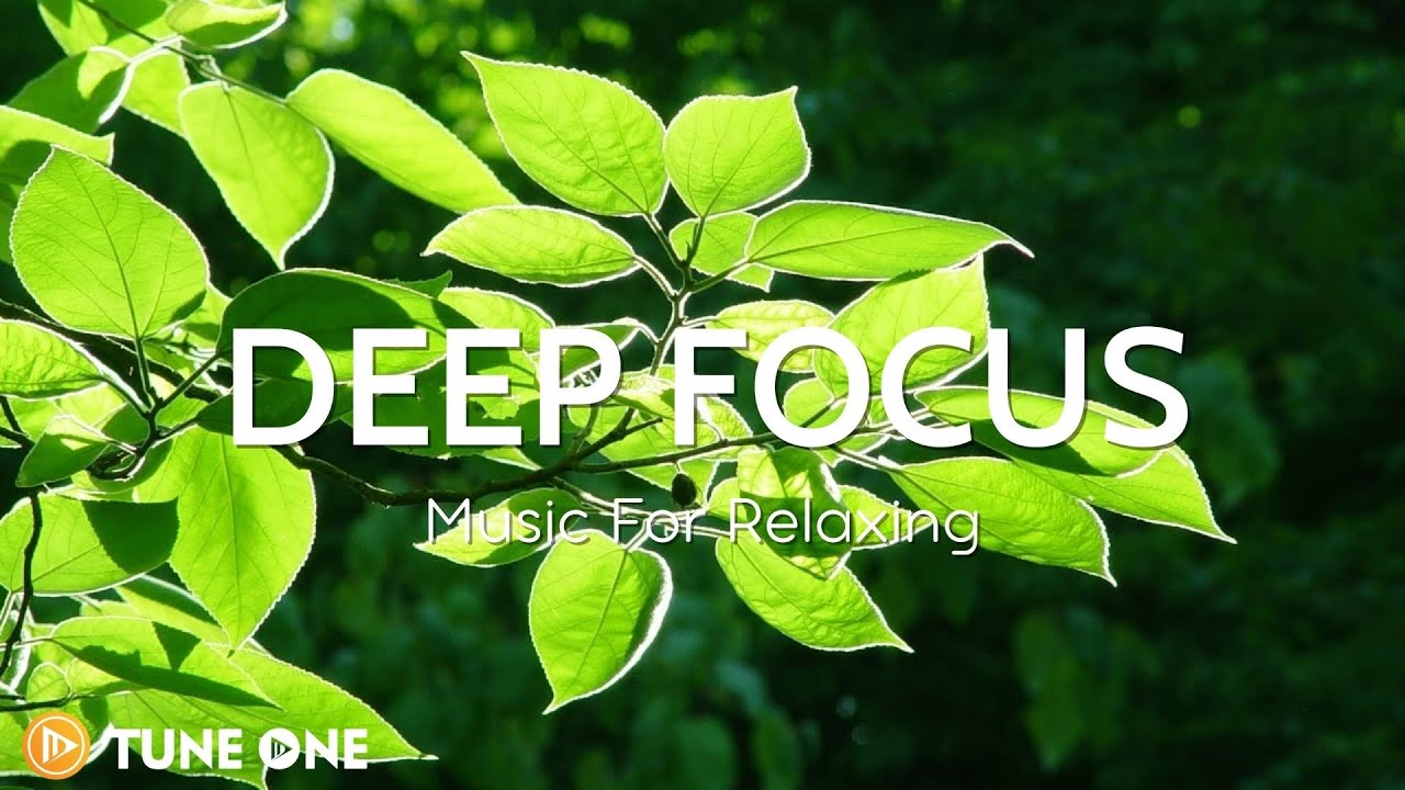 ⁣Tree Branches Home & Relaxing Piano Music 24/7 🍀 Music With Nature Sounds For Sleeping & Rel