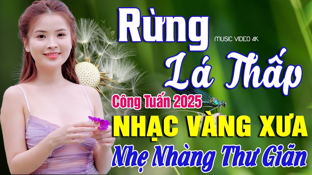 BOLERO TUYỂN CHỌN - NHẠC LÍNH CÔNG TUẤN 2025 - Nhạc Vàng Xưa TOÀN BÀI HAY GÂY NGHIỆN Giọng Ca Độc Lạ