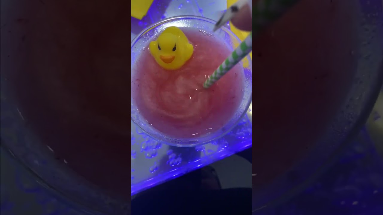 The Tipsy Duck Parlor | St. Augustine 