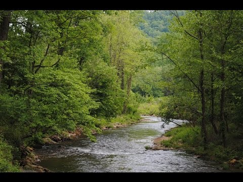 Mills River Watershed- The River Connects Us