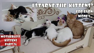 I starve kittens so I can shoot videos and earn money. Do you really think so? Motherless Kittens
