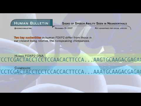 Science Bulletins: Signs