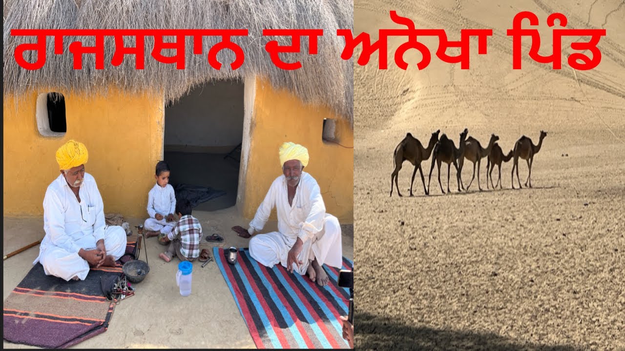 Village life in Rajasthan     ਰਾਜਸਥਾਨ ਦੇ ਪਿੰਡਾ ਦਾ ਰਹਿਣ ਸਹਿਣ #rajasthan #villagerlifestyle #village 