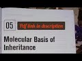 class 12 ahsec biology exam master free pdf |molecular basis of inheritance