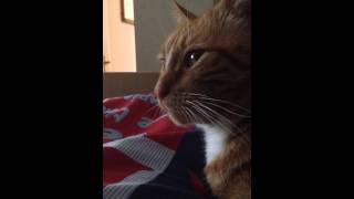 Eeeeeeeeeeeeeeeeeeeeeeeeeeeeeeeeeeeeeeee