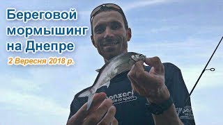Мормоспиннинг на большой реке с берега. Что клюёт? Ловля чехони, бычков и окуней