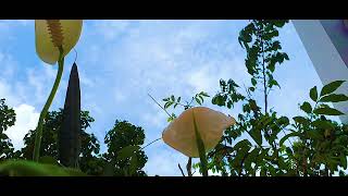 Download Lagu 🌞🌤🍃 CHILL WITH LOFI ! Bầu trời tuyệt đẹp ở Sài Gòn vào cuối tuần #music #lofi Download Lagu 🌞🌤🍃 CHILL WITH LOFI ! Bầu trời tuyệt đẹp ở Sài Gòn vào cuối tuần #music #lofi