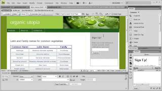 Celebrity Adope Dreamweaver Tutorial CS4 Modifying & Updating Library Items Profile