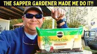 The Sapper Gardener Made Me Do It!!  ~~ Fertilizing Fruit Trees