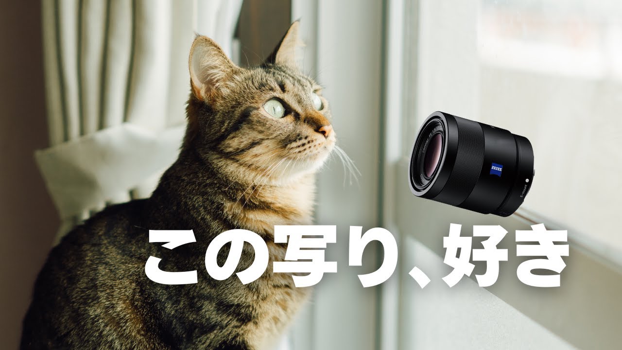 絶対に後悔しない】ZEISS 55mm F1.8は“値段以上”の写り。編集前後の