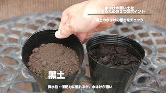 排水性高い土 Youtube