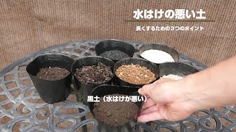 排水性高い土 Youtube