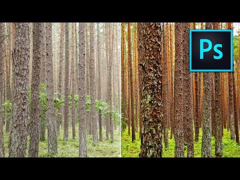 Adobe Photoshop TUTORIALS! How to ENHANCE your photos FAST! LUT Photoshop How To Edit Photos