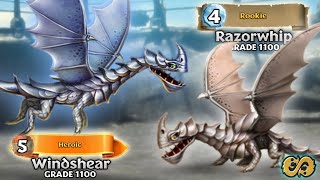 Razorwhip & Windshear Grade 1100 - New Dragon Brawlers | Dragons: Rise of Berk