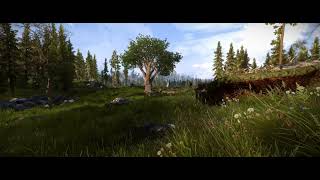 Skyrim 2021 .Net Framework and No grass in objects