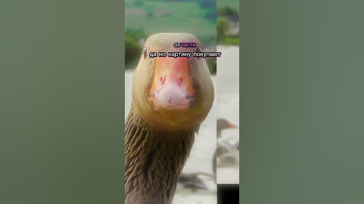 Как я отношусь к этому?