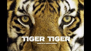 CH5 - Nature Documentary - Call of the Wild: Tiger Tiger (1998)