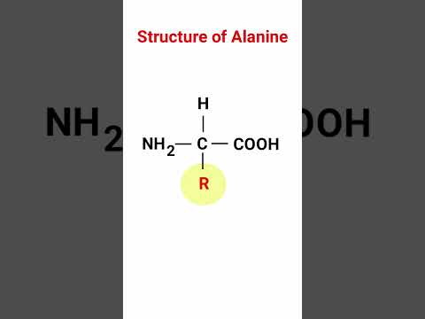 Video: In alanine aminozuur?