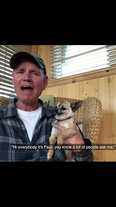 Guy Pets Chihuahua to Relax - Bites Hand