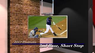 Fantasy Baseball Strategies: Flex players 2013