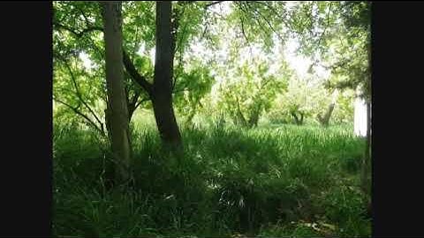 ذكر الأنبياء في سورة الأنعام