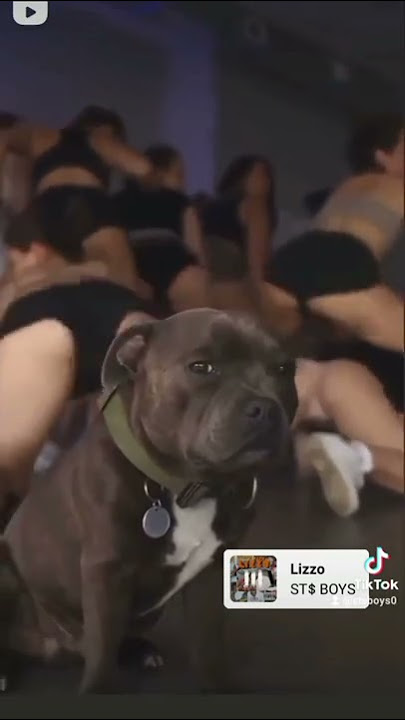 How do White Girls Twerk #funnydance #twerking #exoticpets