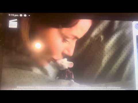 Stuart Little 1999 Dinner Scene Stuart Goes To Sleep In His Bed Scene Movieclip