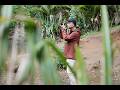 XC13-33mmF3.5-6.3 OIS x Richard Wong/ FUJIFILM