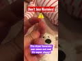 MOTHERS: Don’t Buy Warmies! CHOKING HAZARD! #warmies #baby