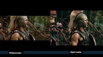 Alexander 2004 widescreen vs open matte aspect ratio comparison Macedonian vs Indian