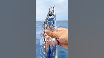 Extinct Animals Camera Footage #viralvideo