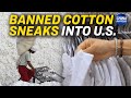 Banned Cotton Found in One-Fifth of US, Global Stores | Trailer | China in Focus