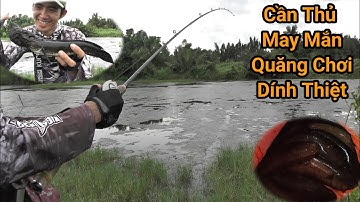 Câu Cá Lóc Ở Tràm Chim Cù Lao || Đang Giới Thiệu..Quăng Ra Chơi Dính Luôn || VR Fishing #73