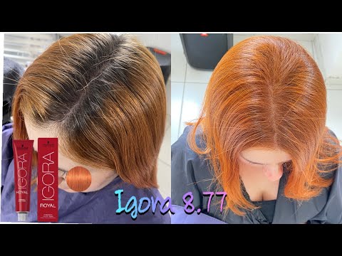 Retoque de raiz com IGORA 8.77 / cabelo ruivo em casa