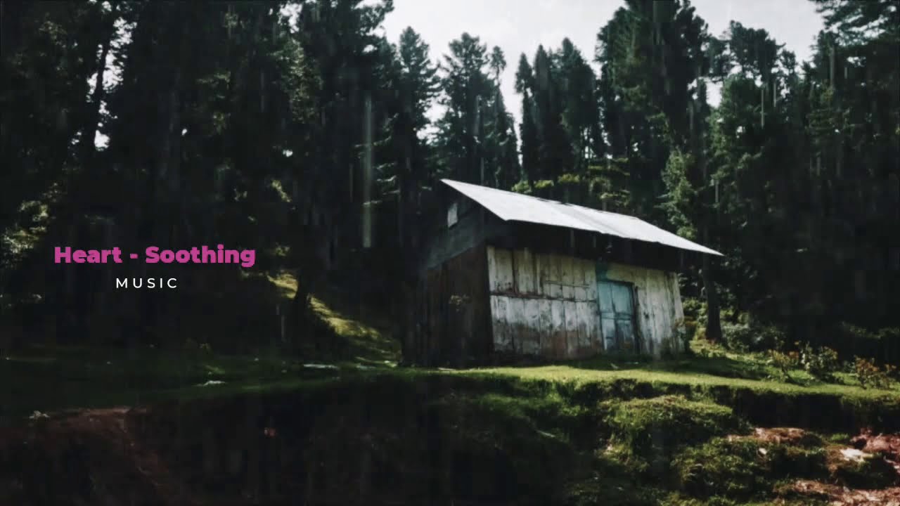 Rain Sounds and Birds to Relax Muscles, Meditate, Concentrate and Sleep #1