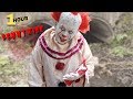 1 Hour of Pennywise - Scary Clown Compilation - WeeeClown Around