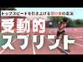 一流選手の洗練されたスプリントフォームの正体！受動的な走りを習得する３つの方法【陸上競技・短距離走】