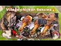 A Taste of Village Life | Cooking Chicken Sekuwa the Traditional Way&quot;Village life 🐔🍗😬