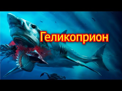 Геликоприон. Рыба циркулярная пила. Акула пермского периода. Вымершие животные. Видео про животных